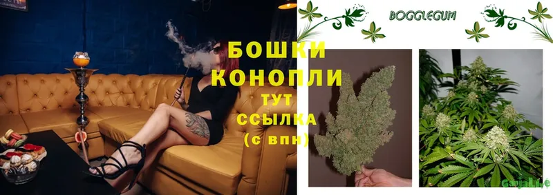 наркота  Чистополь  нарко площадка состав  МАРИХУАНА SATIVA & INDICA 